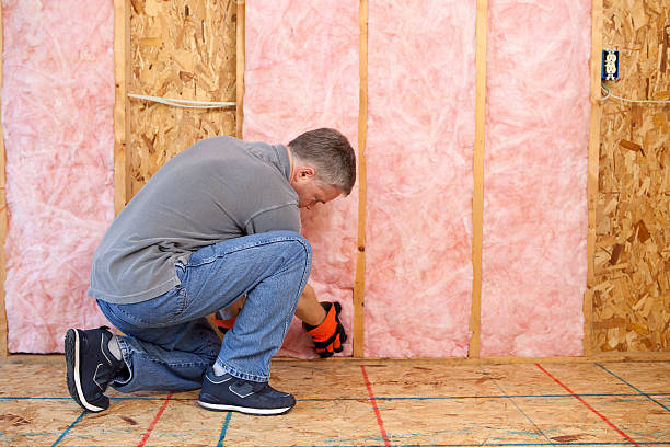 Best Geographic-Specific Insulation Services in Mishicot, WI