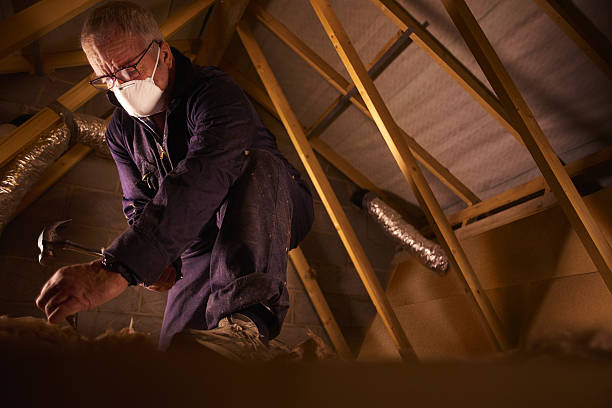 Best Specialized Insulation Services in Mishicot, WI
